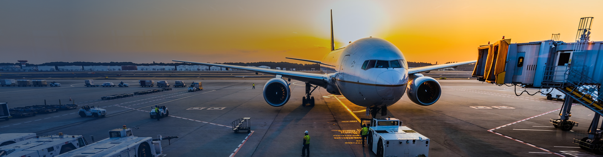Travel & Hospitality